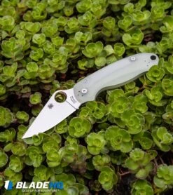 Spyderco M4 Para 3 Knife Natural G-10 (3" Satin) C223GM4P Exclusive 13 Spyderco M4 Para 3 Knife Natural G-10 (3" Satin) C223GM4P Exclusive -Spyderco Sales Spyderco M4 Para 3 Knife Natural G 10 Satin C223GM4P Exclusive BHQ71564 kp green plant web