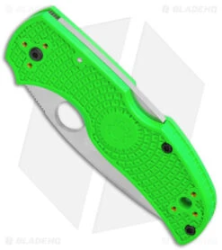 Spyderco Native 5 Salt Lockback Knife Green FRN (3" Satin LC200N) C41PGR5 -Spyderco Sales Spyderco Native 5 Salt LB Green FRN Satin BHQ 145692 jr spine