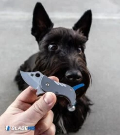 Spyderco Pochi Frame Lock Knife Titanium (1.56" Satin S45VN) 13 Spyderco Pochi Frame Lock Knife Titanium (1.56" Satin S45VN) -Spyderco Sales Spyderco Pochi Frame Lock Knife Titanium Satin S45VN BHQ 112401 kp Lottie the Scottie web