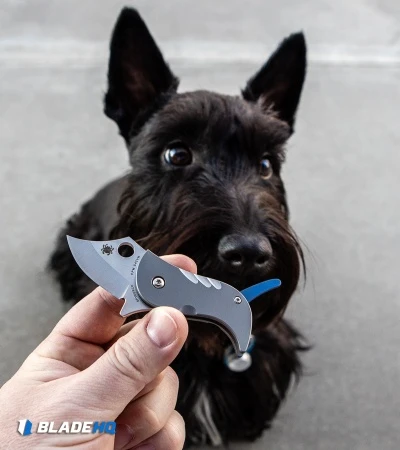 Spyderco Pochi Frame Lock Knife Titanium (1.56" Satin S45VN) 8 Spyderco Pochi Frame Lock Knife Titanium (1.56" Satin S45VN) - Image 6