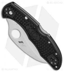 Spyderco Tasman Salt 2 Lock Back Knife Black FRN (2.8" Satin) C106PBK2 -Spyderco Sales Spyderco Tasman Salt 2 black FRN satin BHQ 71329 er spine 2