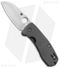 Spyderco Techno 2 Frame Lock Knife Titanium (2.55" Stonewash) C158TIP2