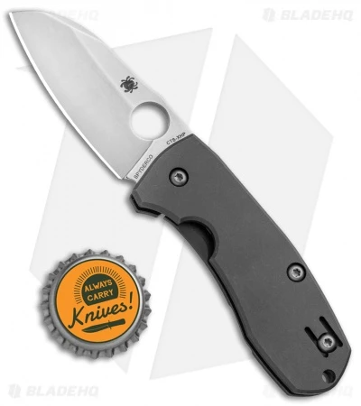 Spyderco Techno 2 Frame Lock Knife Titanium (2.55" Stonewash) C158TIP2 6 Spyderco Techno 2 Frame Lock Knife Titanium (2.55" Stonewash) C158TIP2 - Image 4