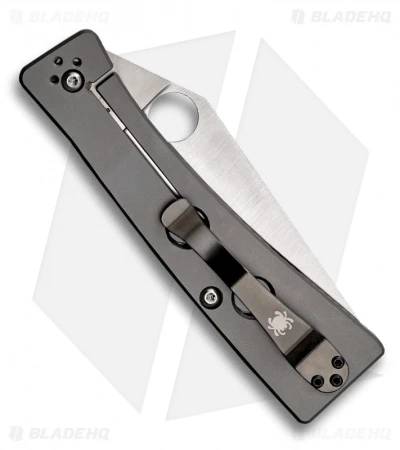 Spyderco Chokwe Framelock Folding Knife (PLN) C132GP 4 Spyderco Chokwe Framelock Folding Knife (PLN) C132GP - Image 2