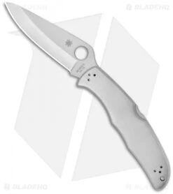 Spyderco Endura 4 Knife Stainless Steel SS (3.875" Satin) C10P