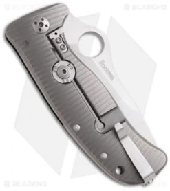 Spyderco LionSpy Folding Pocket Knife (3.62" Satin Plain) C157GTIP -Spyderco Sales spyderco lion steel back
