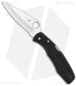 Spyderco Pacific Salt H-1 Knife C91PBK Black FRN (3.81" Satin)