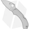 Spyderco Dragonfly Lockback Knife Stainless Steel (2.3" Satin) C28P 2 Spyderco Dragonfly Lockback Knife Stainless Steel (2.3" Satin) C28P -Spyderco Sales spyderco stainless dragonfly c28p 2